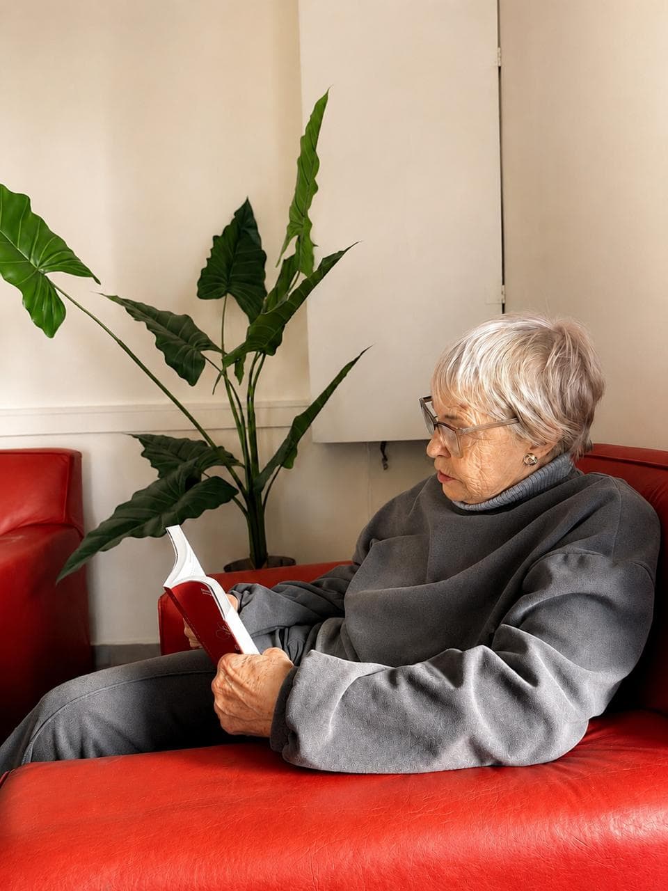 Sala de estar con sillones y plantas para la lectura